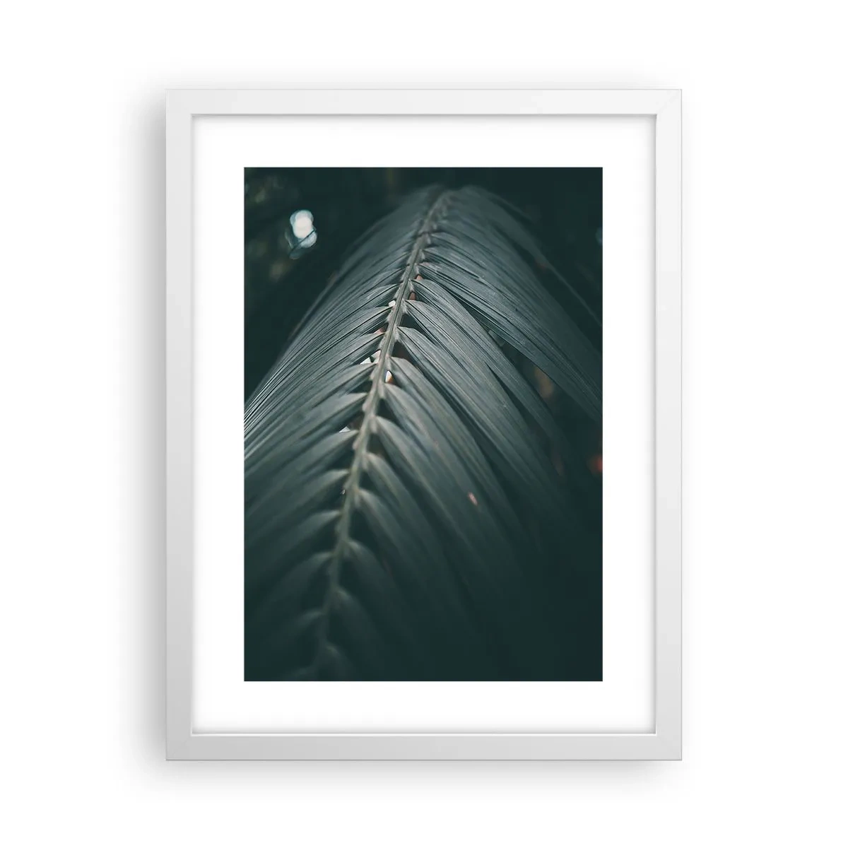 Poszter fekete keretben - A természet pontossága - 30x40 cm