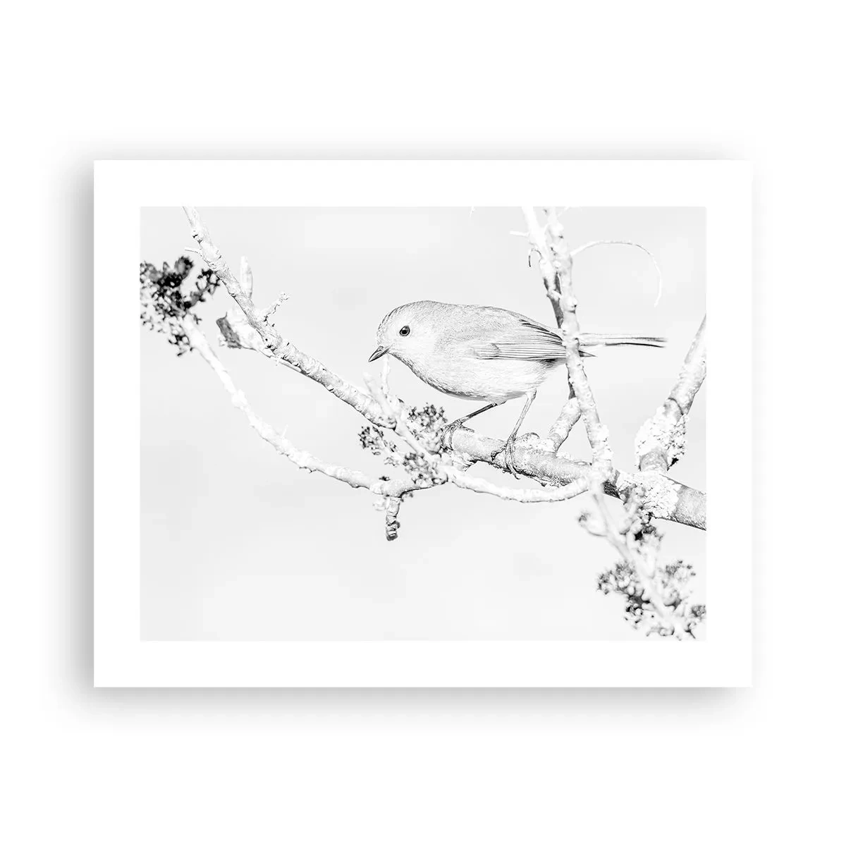 Poszter - Téli reggel - 50x40 cm