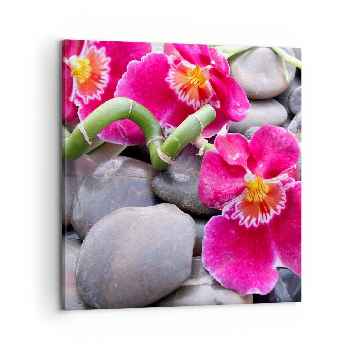 Vászonkép - Hideg és forró - 60x60 cm