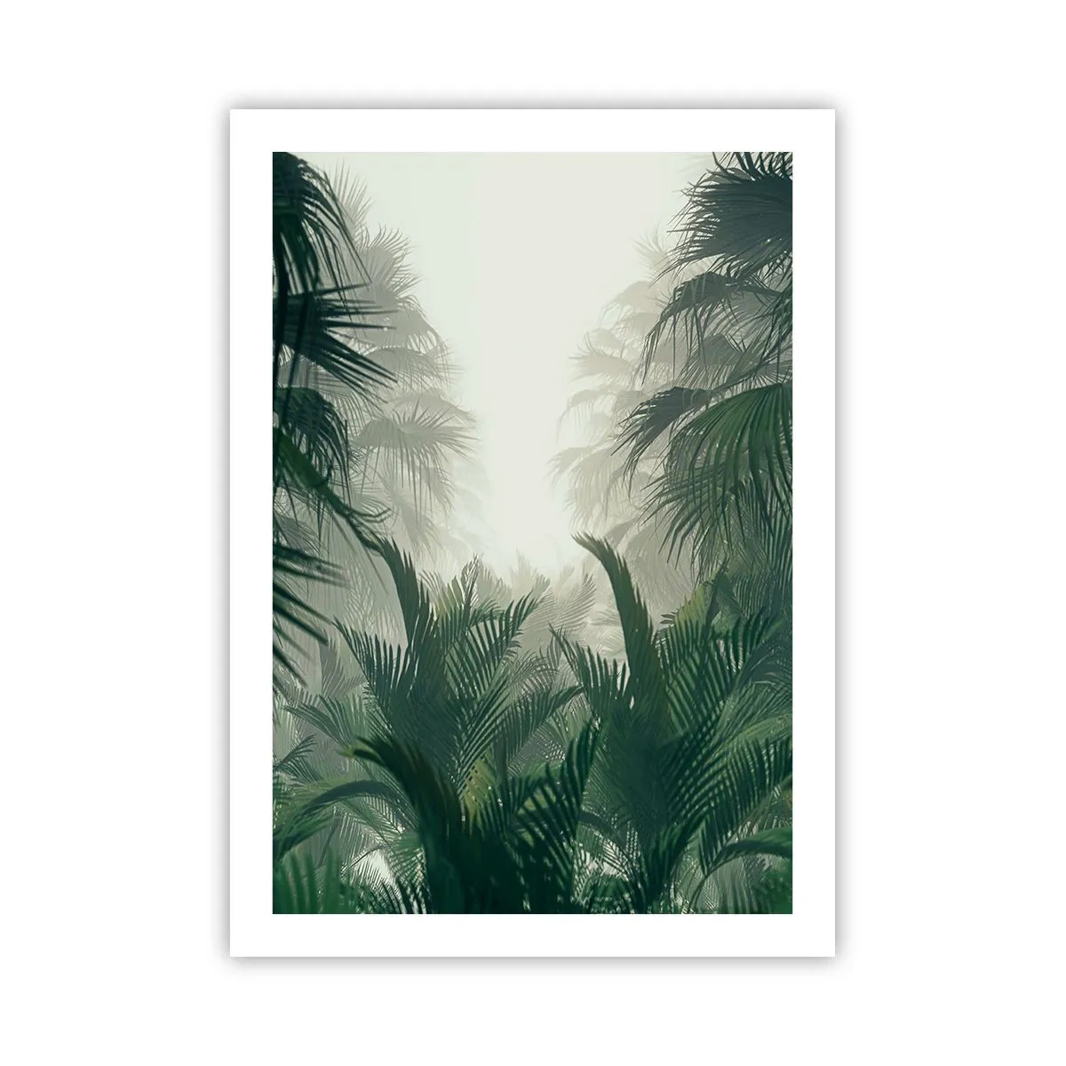 Poszter - Trópusi titok - 50x70 cm