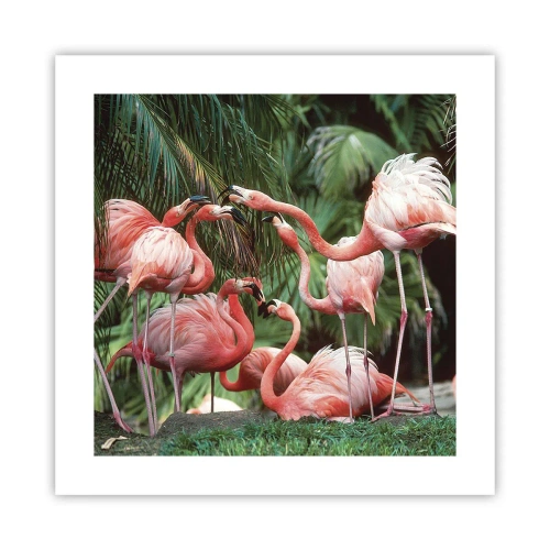 Poszter - Délutáni pletyka - 40x40 cm