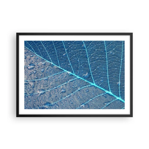 Poszter fehér keretben - Az élet kékben - 70x50 cm