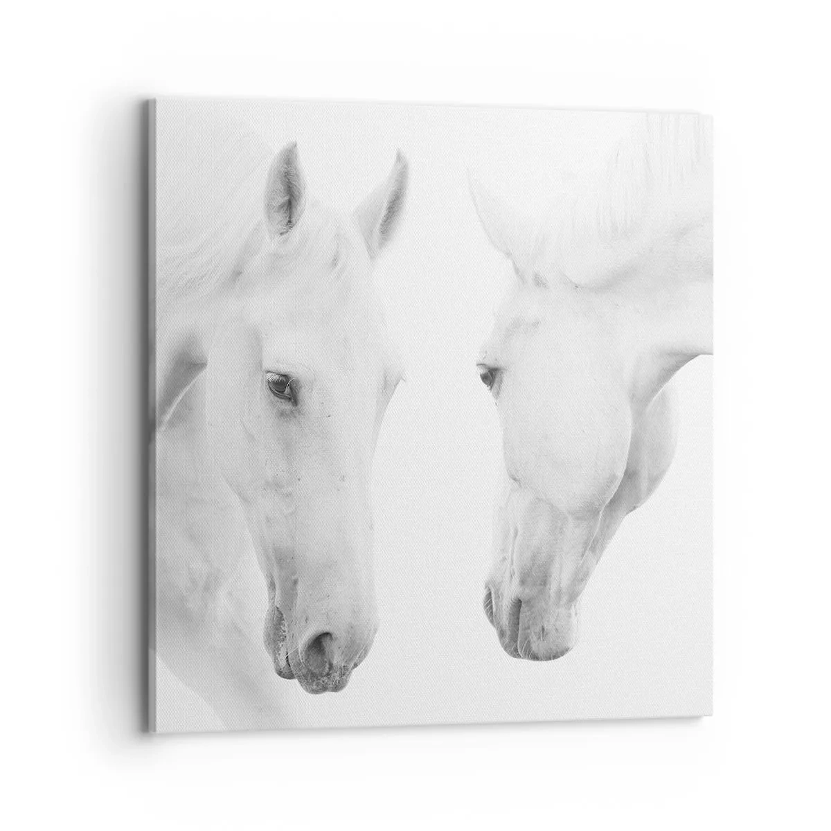 Vászonkép - Ez a barátság...? - 70x70 cm