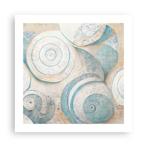 Poszter - Mit rejt a kagyló? - 50x50 cm