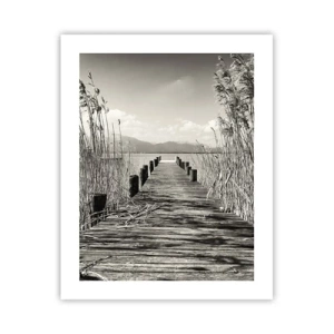 Poszter - A fű csendjében - 40x50 cm