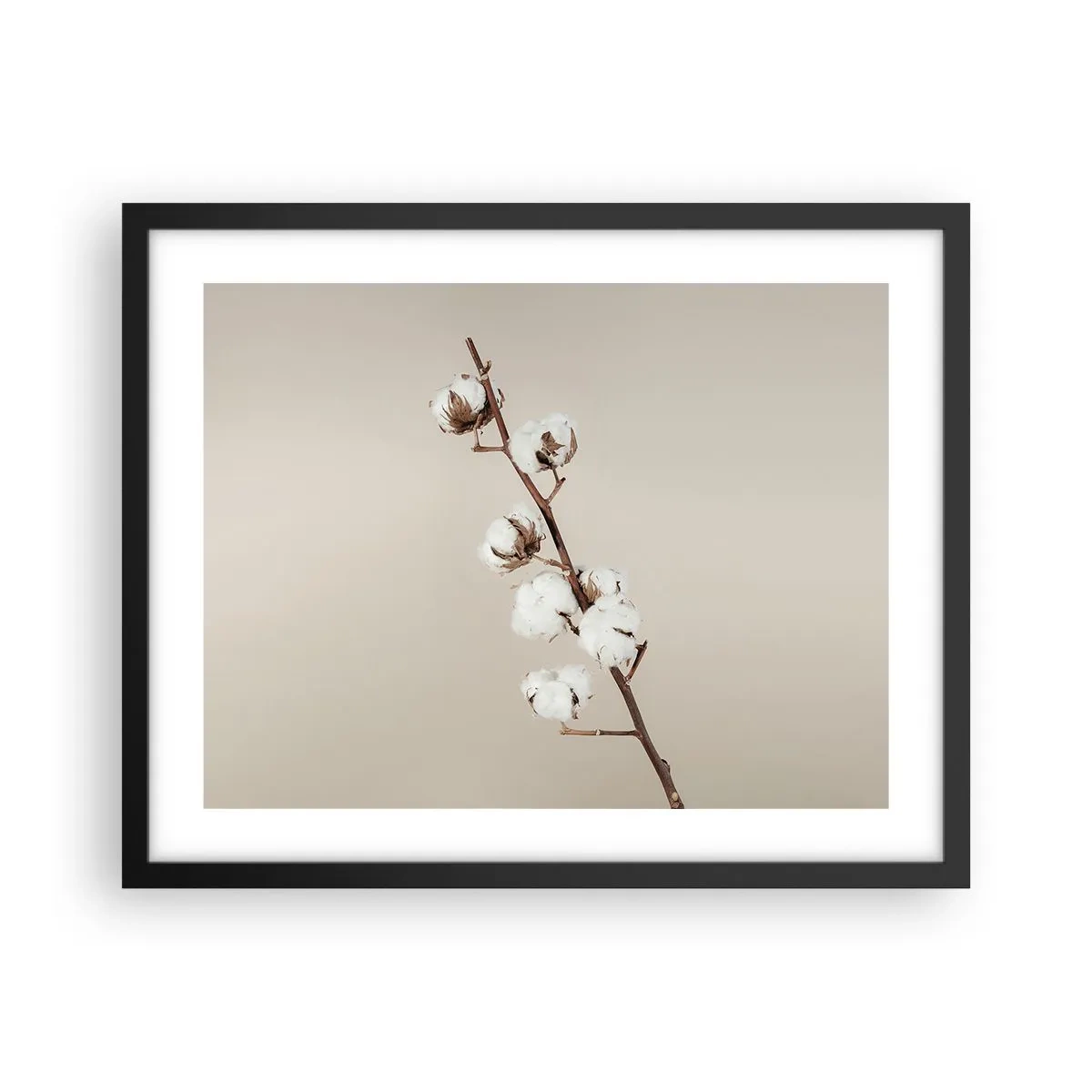 Poszter fehér keretben - A puhaság forrásánál - 50x40 cm