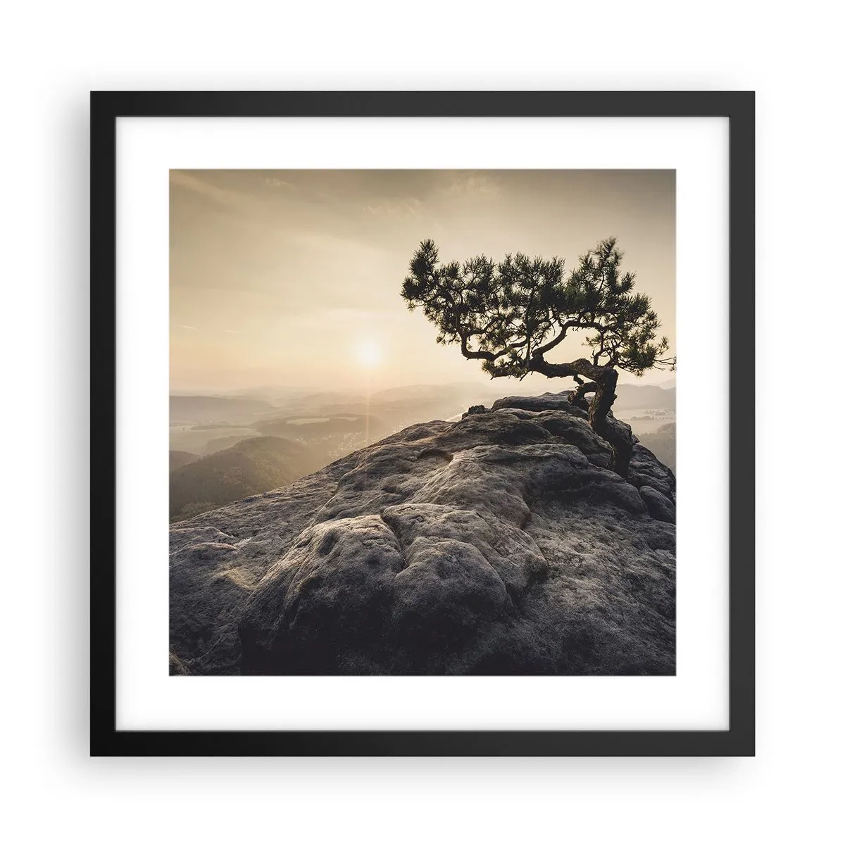 Poszter fehér keretben - Az élet mindig győz - 40x40 cm