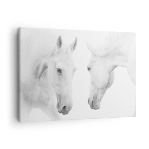 Vászonkép - Két fehér ló minimalista portréja - 70x50cm - Ez a barátság...? - Modern fali dekoráció nappalihoz és hálószobához ARTTOR