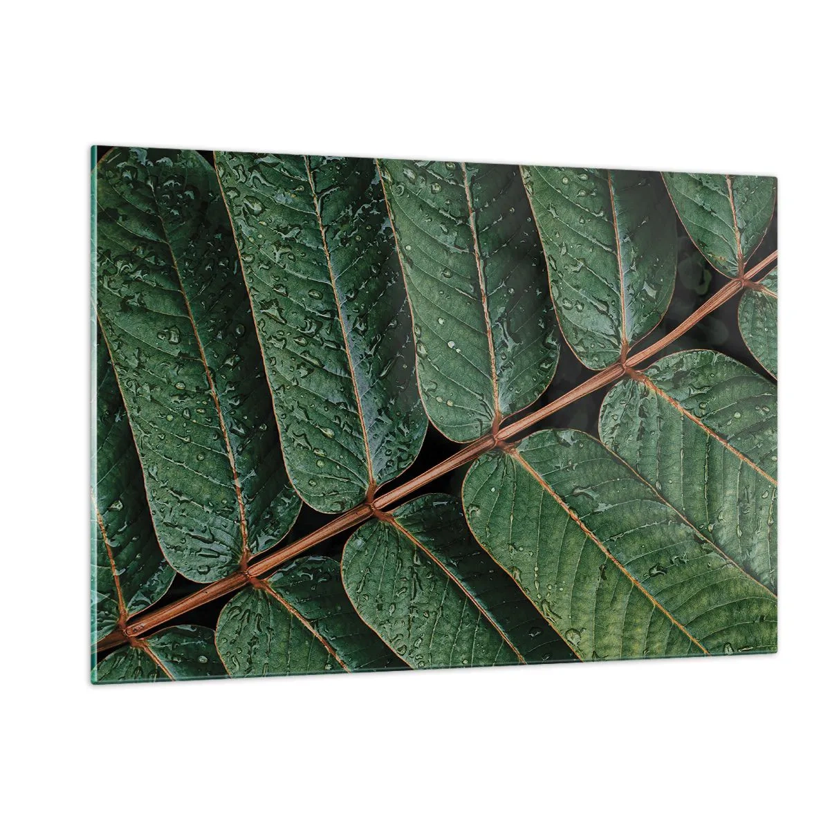 Üveg kép - Zöld ritmusban - 120x80 cm