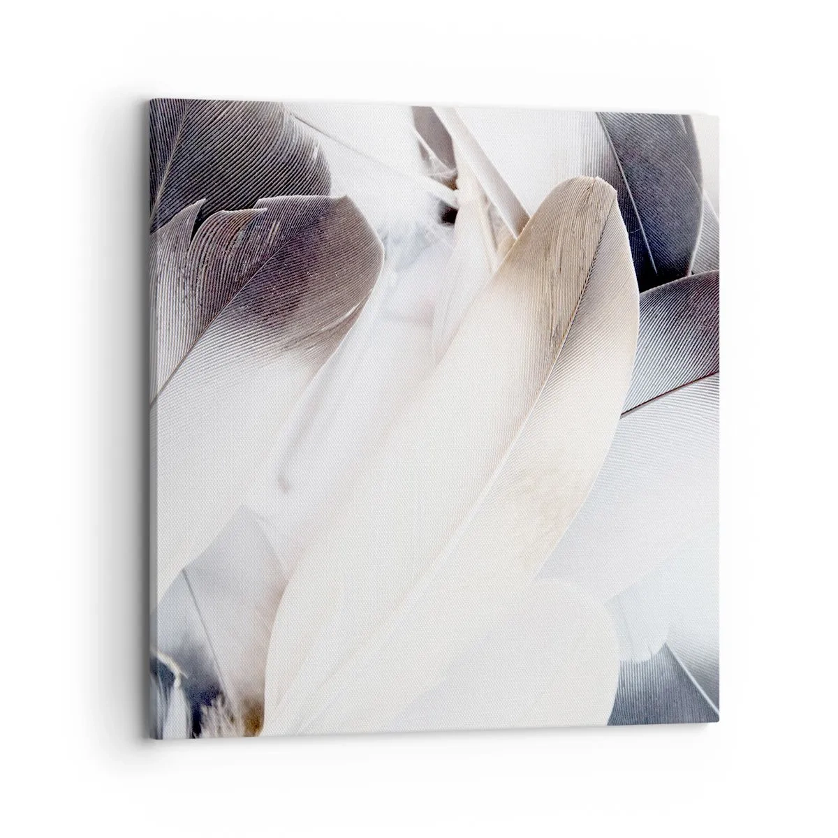 Vászonkép - Szinte angyali - 70x70 cm