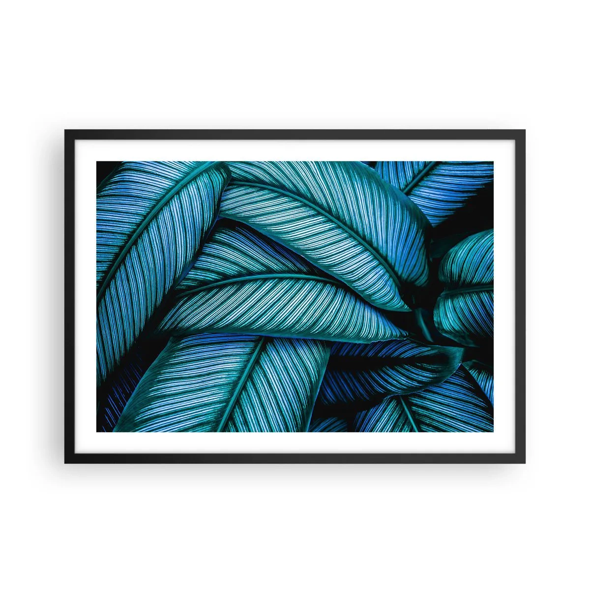 Poszter fehér keretben - Életvonalak - 70x50 cm