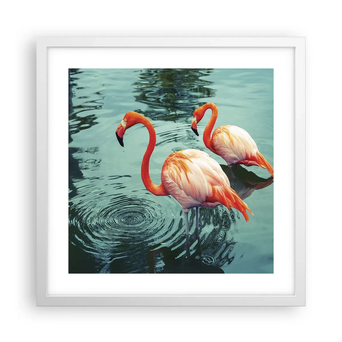 Poszter fekete keretben - Most divatban vagyunk - 40x40 cm