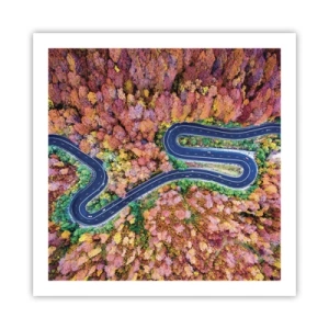 Poszter - Kanyargós út az erdőn keresztül - 60x60 cm