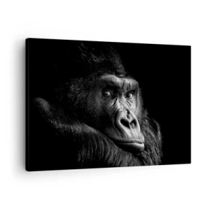Vászonkép - Fekete-fehér portré egy fenséges gorilla - 70x50cm - Mit bámulsz? - Modern fali dekoráció nappalihoz és hálószobához ARTTOR