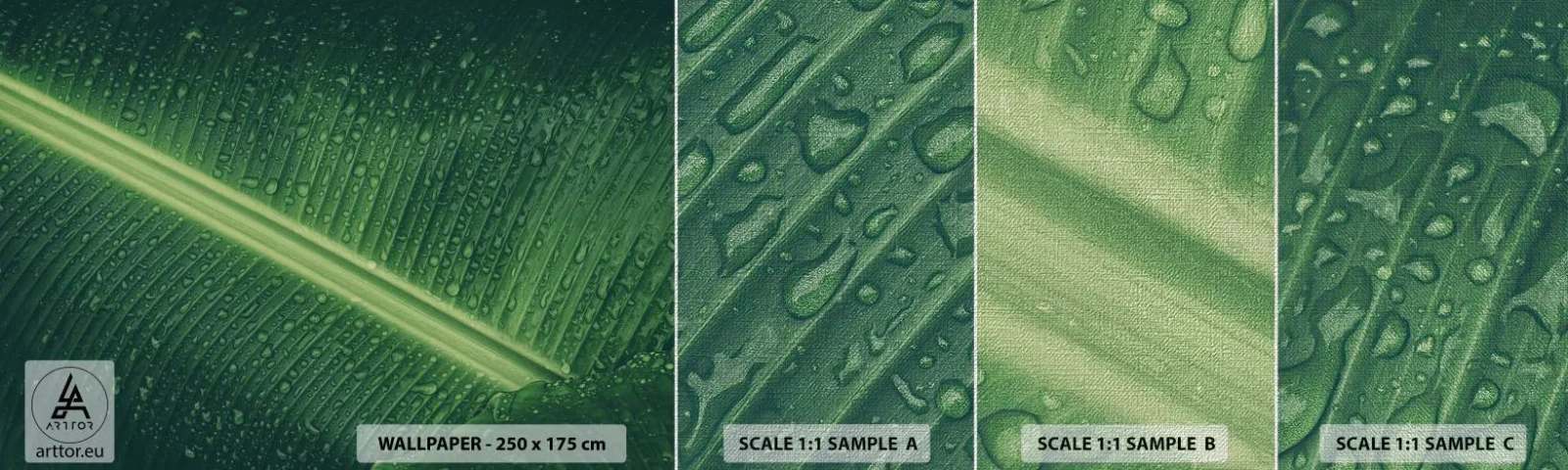 Fotótapéta Minta Premium Canvas - A növényzet szerkezete - Zöld levél, Trópusi növény, Darab - 100x30 cm