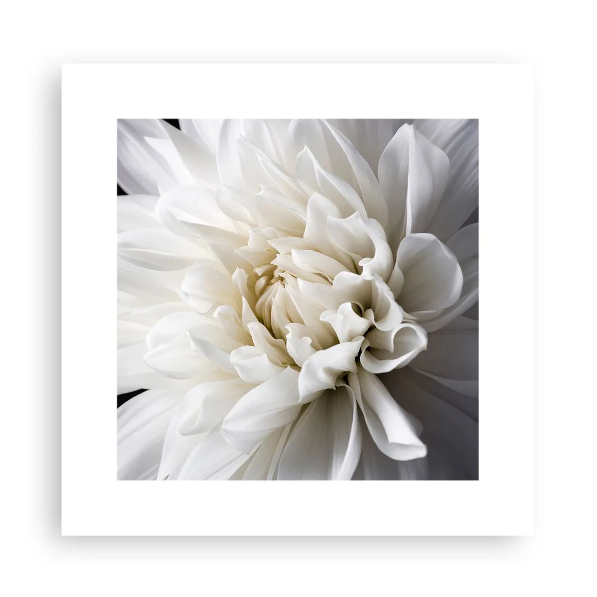 Poszter - Menyasszony reggele - 30x30 cm