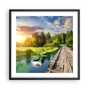 Poszter fehér keretben - Nyár, mindenhol nyár - 50x50 cm