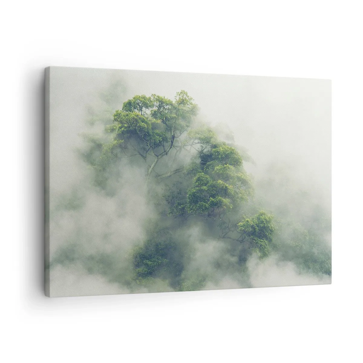 Vászonkép - Ködbe burkolózva - 70x50 cm