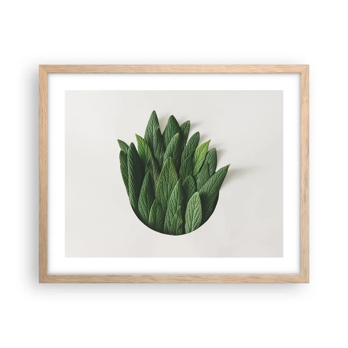 Poszter világos tölgy keretben - Féktelen kíváncsiság - 50x40 cm