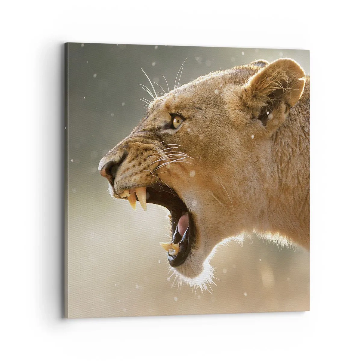 Vászonkép - Próbálj meg nem hallgatni - 70x70 cm