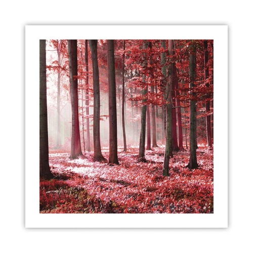 Poszter - A piros különösen szép - 50x50 cm