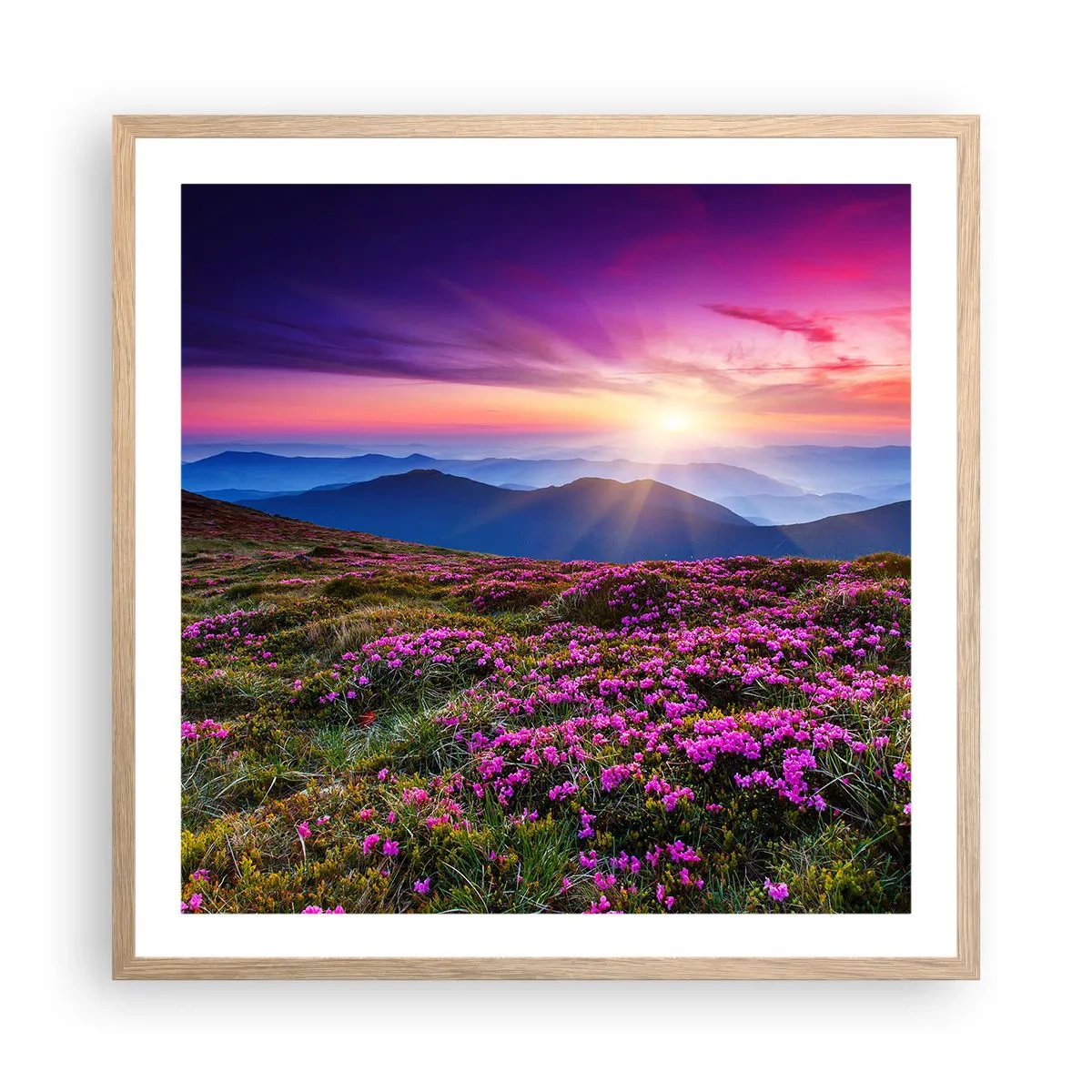 Poszter világos tölgy keretben - A gyógynövények friss fürtjei illatoztak a mezőkről - 60x60 cm