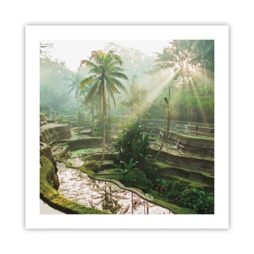 Poszter - Felnőni a napon - 50x50 cm