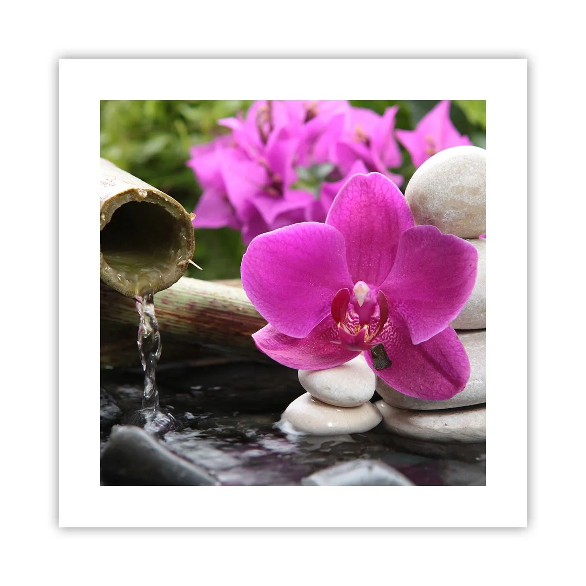 Poszter - Már pihensz - 40x40 cm