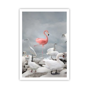 Poszter - Hogy kerültem ide? - 70x100 cm