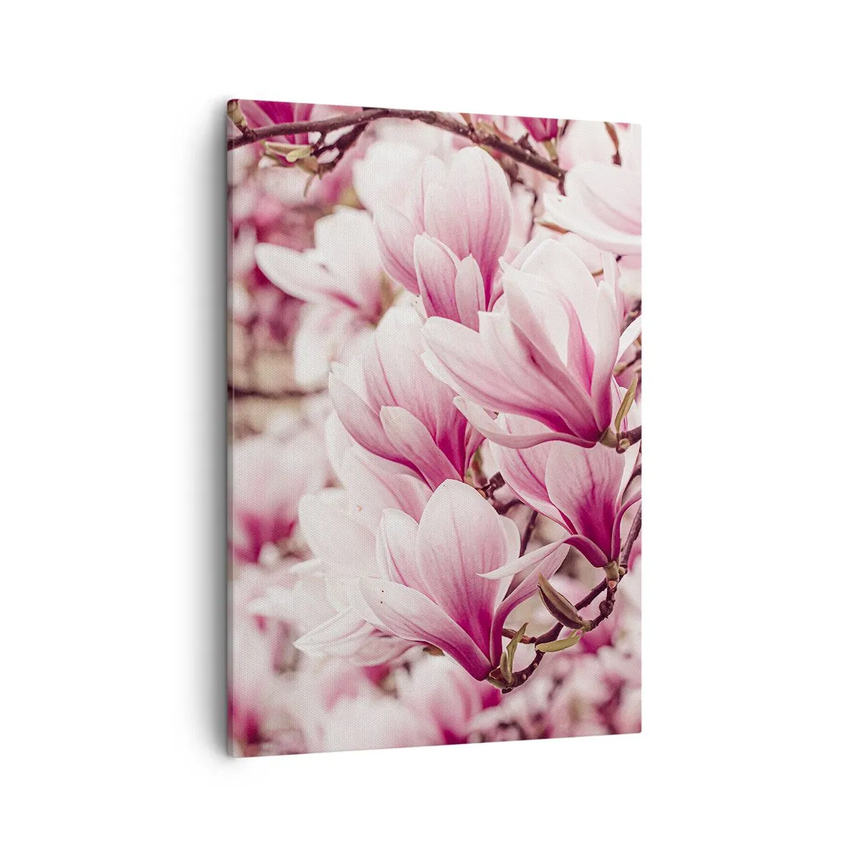Vászonkép - A tavasz rózsaszínű - 50x70 cm