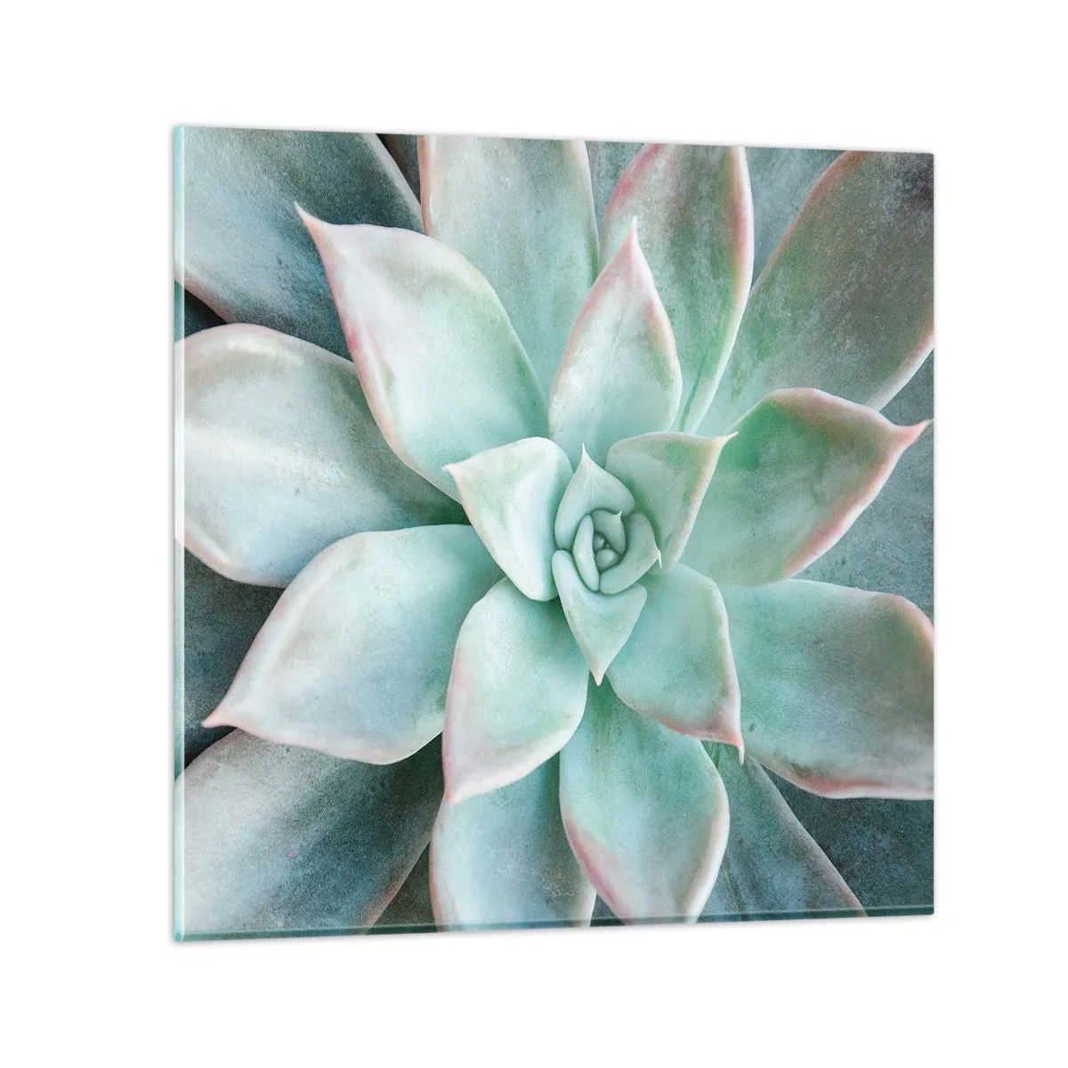 Üveg kép - A sivatag szíve - 70x70 cm