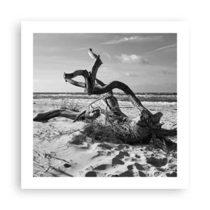 Poszter - Tengeri szobor - 50x50 cm