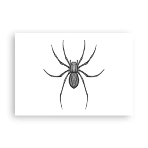 Poszter - Zavaró precizitás - 100x70 cm