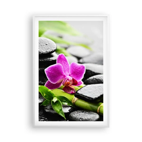 Poszter fekete keretben - Nyugodt egyensúlyban - 61x91 cm