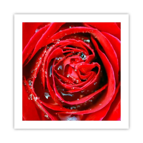 Poszter - A harmatcseppekben - 50x50 cm