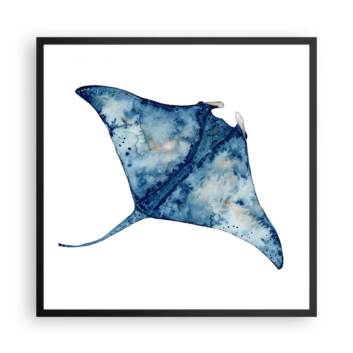 Poszter fehér keretben - Élet kékben - 60x60 cm