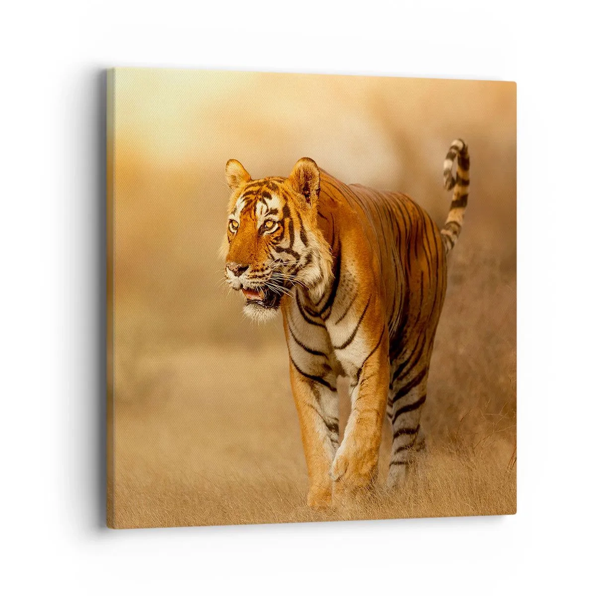 Vászonkép - A támadás előtt - 40x40 cm