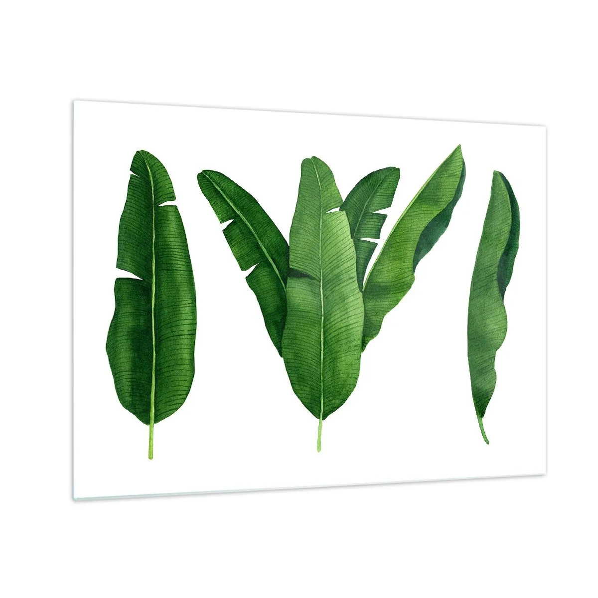 Üveg kép - Négy zöld banánlevél fehér alapon - 70x50cm - Zöld szimmetria - Modern fali dekoráció nappalihoz és hálószobához ARTTOR