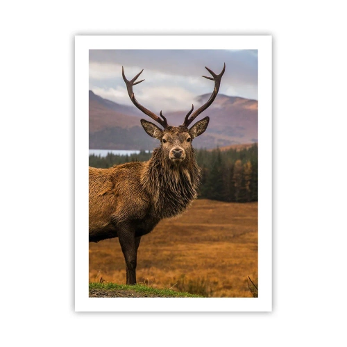 Poszter - A természet fensége - 50x70 cm