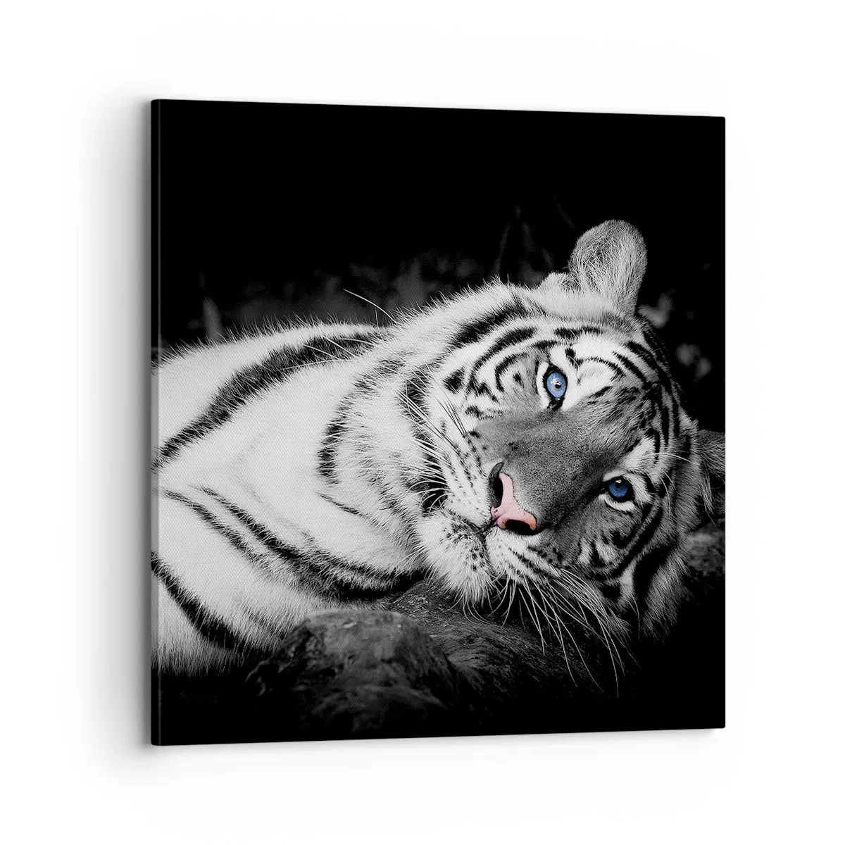 Vászonkép - Vadság és nyugalom - 70x70 cm