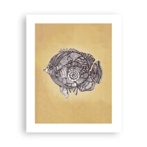 Poszter - A díszek óceánjából - 40x50 cm