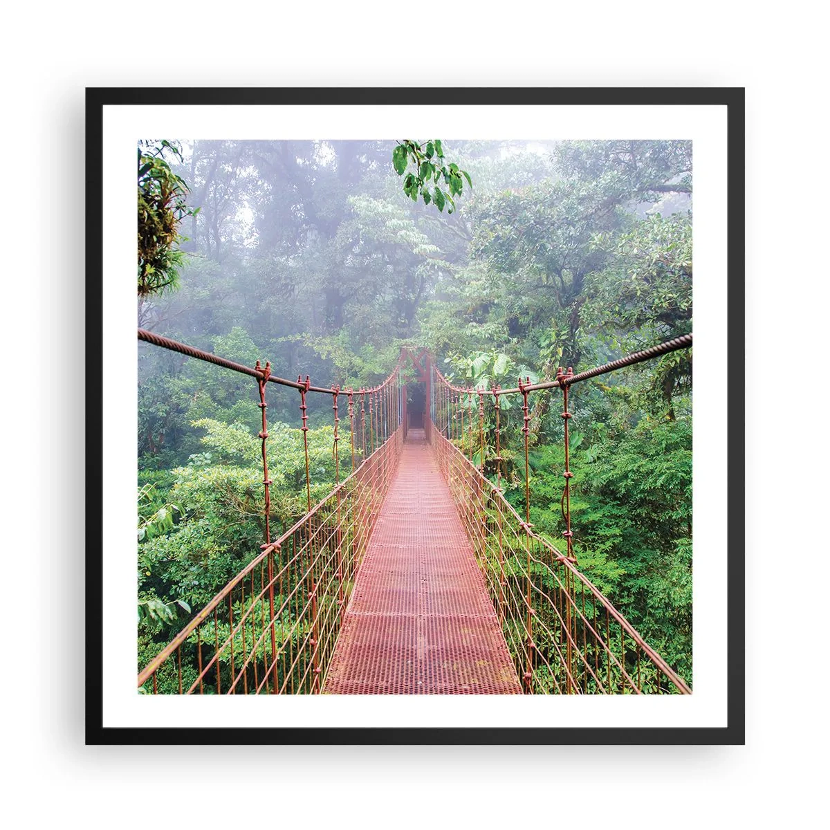 Poszter fehér keretben - A lomkoronák fölé függesztve - 60x60 cm