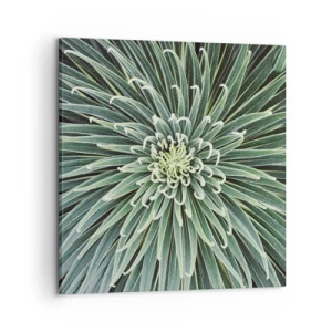 Vászonkép - Csillag születik - 60x60 cm