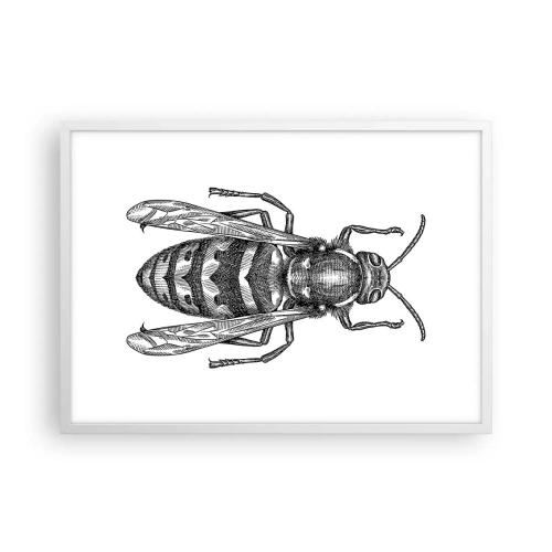 Poszter fekete keretben - Egy rovar bolygóról - 70x50 cm