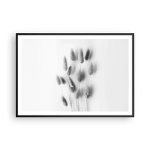 Poszter fehér keretben - A bolyhos fű - 100x70 cm