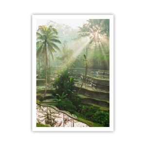 Poszter - Felnőni a napon - 70x100 cm