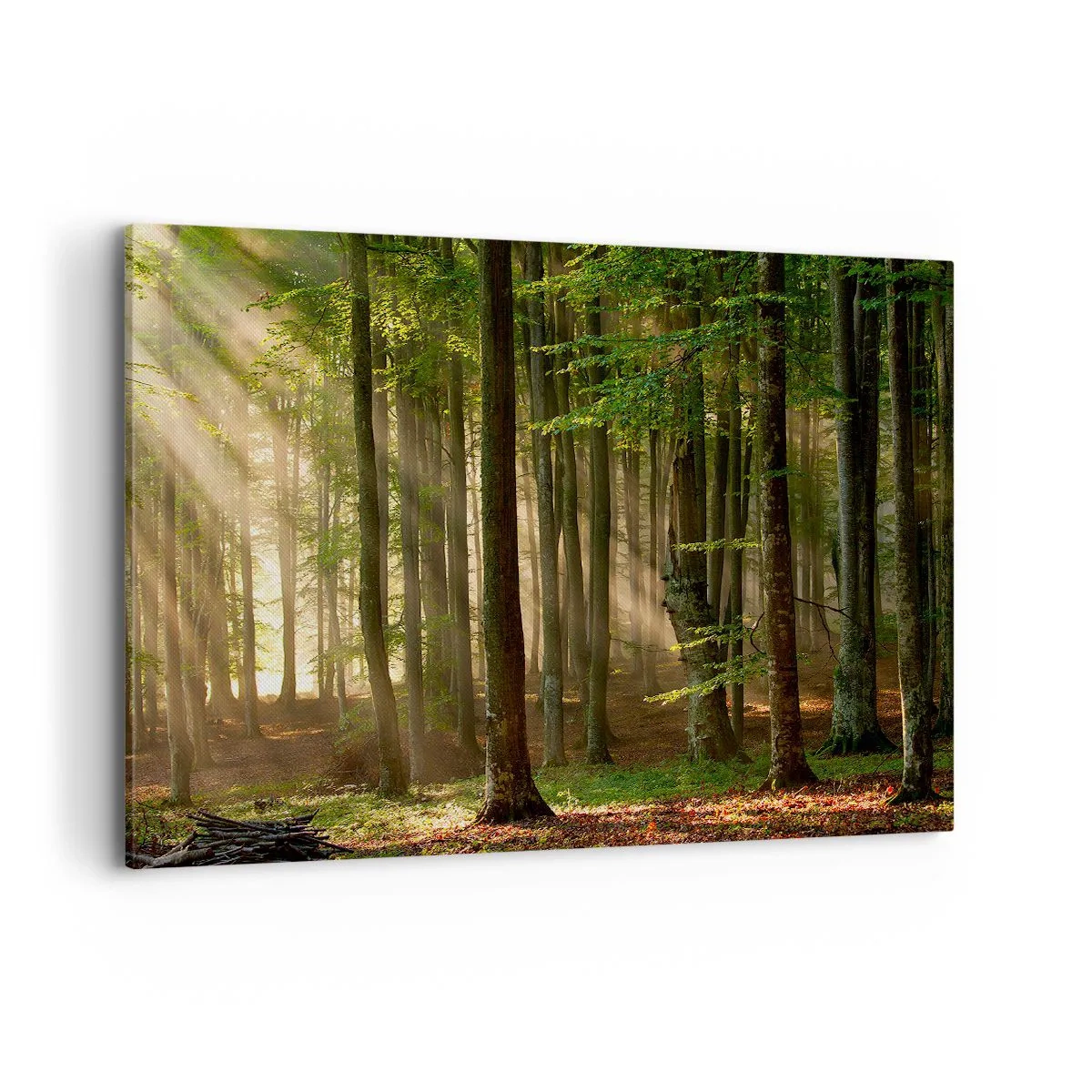 Vászonkép - Ragyogó tavaszi reggelen - 100x70 cm