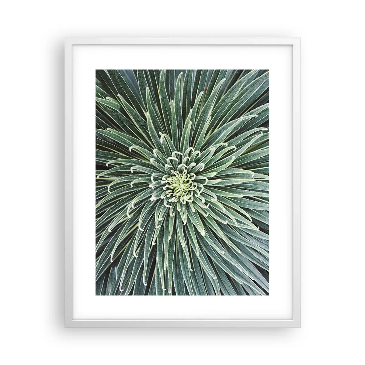 Poszter fekete keretben - Csillag születik - 40x50 cm