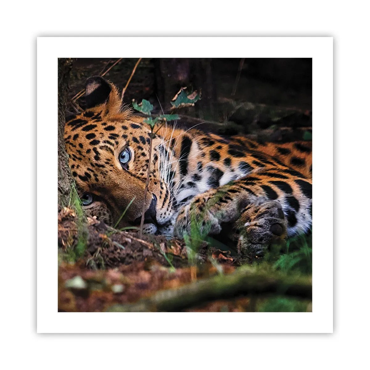 Poszter - Bízz bennem - 50x50 cm