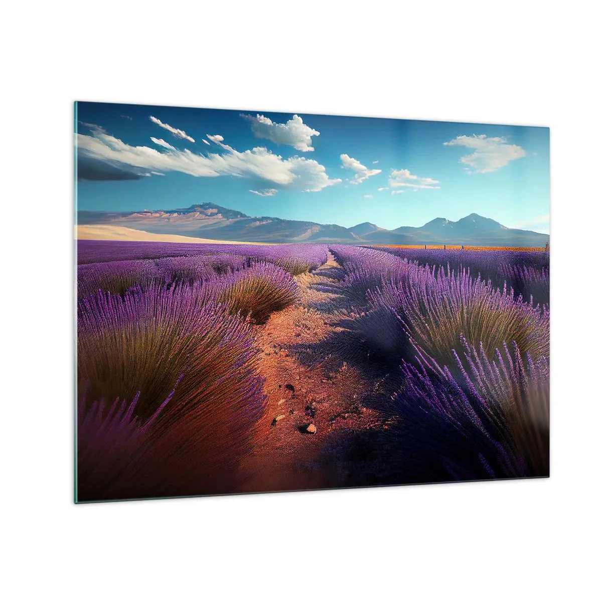 Üveg kép - Levendulamezők naplementekor, kilátással a hegyekre - 70x50cm - Illatos mezők - Modern fali dekoráció nappalihoz és hálószobához ARTTOR